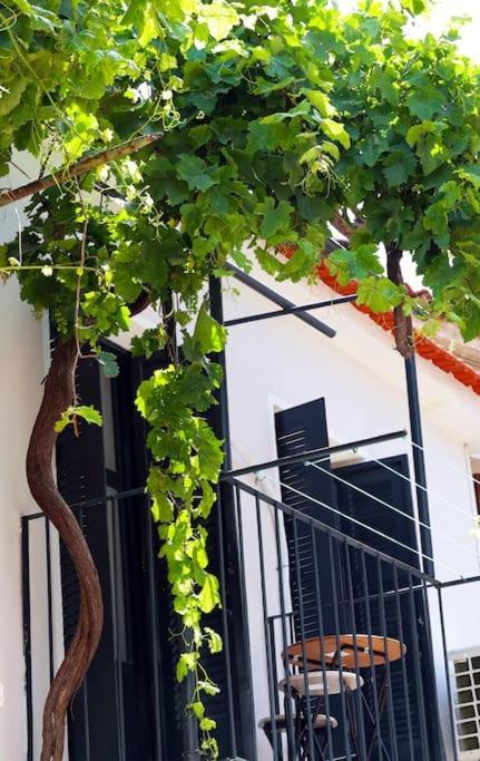 Titinas' Villa Plomari ภายนอก รูปภาพ