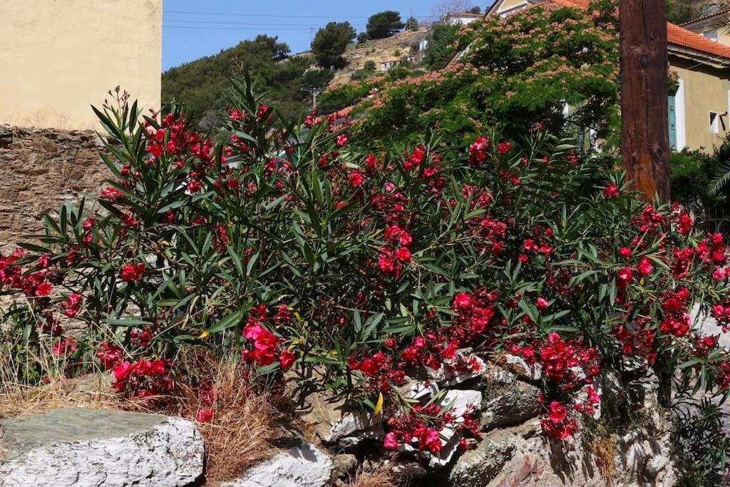 Titinas' Villa Plomari ภายนอก รูปภาพ